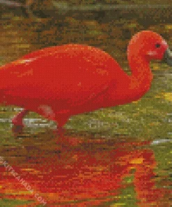 Scarlet Ibis Bird Diamond Painting
