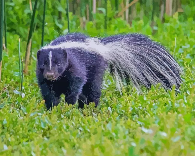 striped skunk Diamond Paintings Striped Skunk Diamond Painting