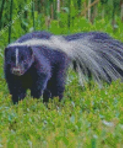 Striped Skunk Diamond Painting