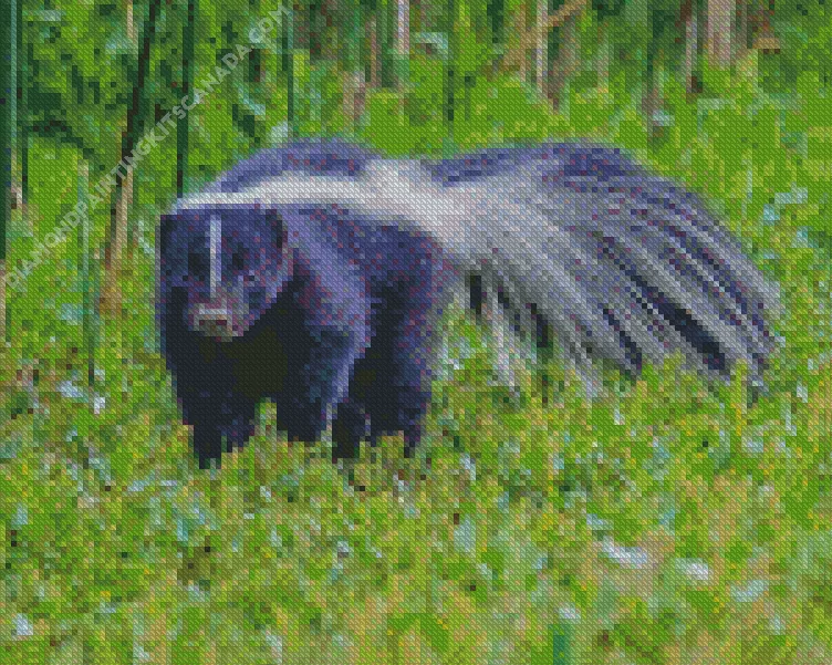 striped skunk Diamond With Numbers Striped Skunk Diamond Painting
