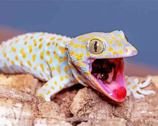 tokay gecko Diamond Paints