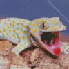 Tokay Gecko Diamond Painting