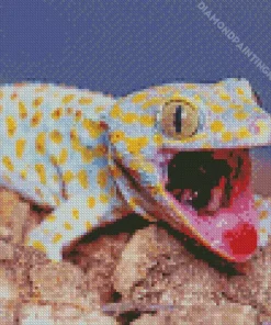 Tokay Gecko Diamond Painting