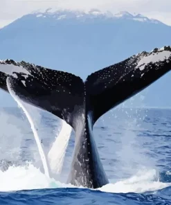 Whale Tail Diamond Painting