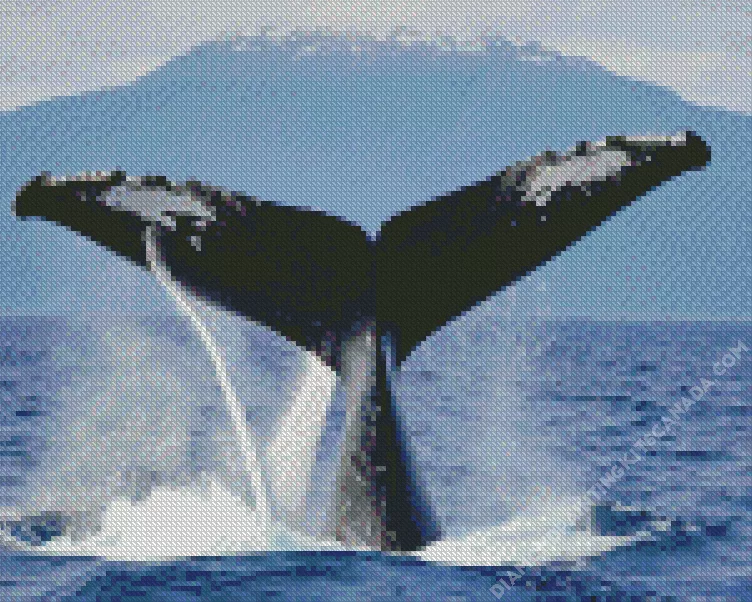 whale tail Diamond With Numbers Whale Tail Diamond Painting
