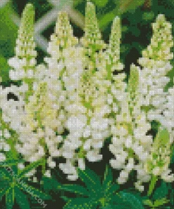 White Lupine Flowers Diamond Painting