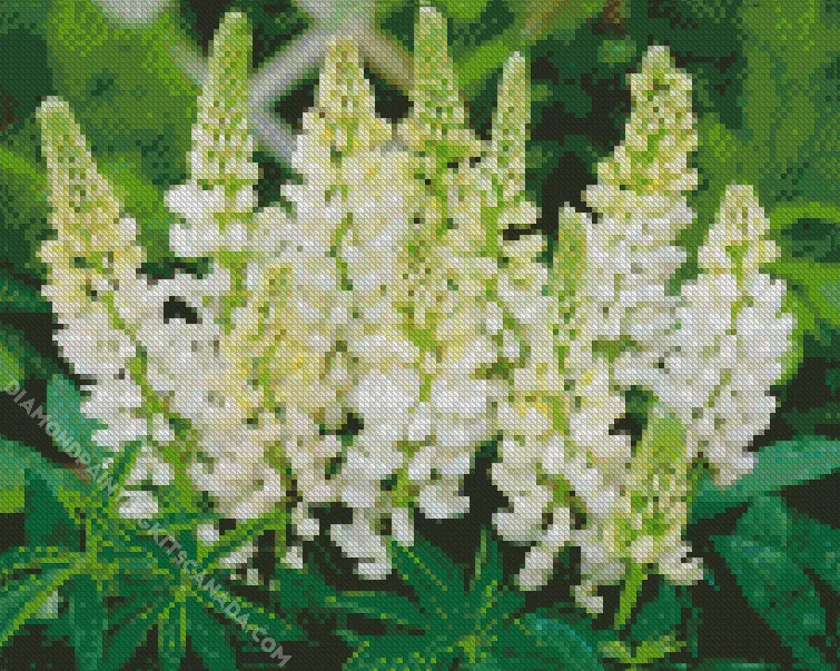 white lupine flowers Diamond With Numbers White Lupine Flowers Diamond Painting