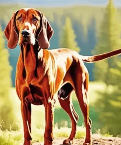 Brown Coonhound Diamond Painting