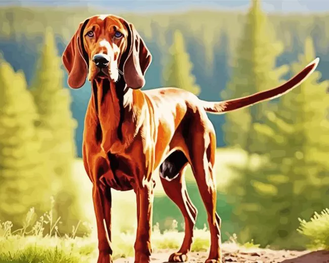 Brown coonhound Diamond Paints Brown Coonhound Diamond Painting
