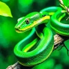 Green Snake On Branch Diamond Painting