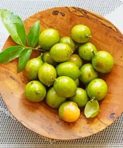 Spanish Lime Diamond Painting