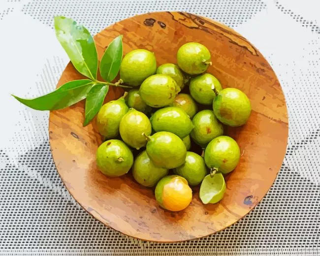 Spanish Lime Diamond By Numbers Spanish Lime Diamond Painting