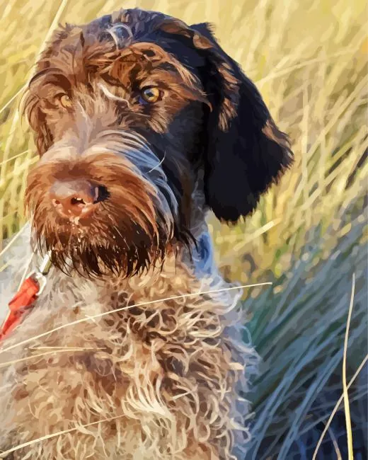 Wirehaired Pointing Griffon Diamond Paintings Wirehaired Pointing Griffon Diamond Painting