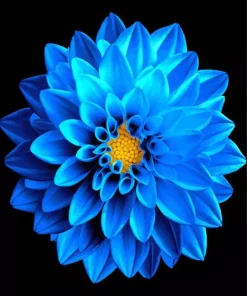 Blue Dahlia Flower Diamond Painting