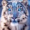 Blue Eyes Leopard Diamond Painting