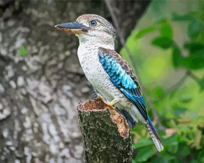 blue winged kookaburra Diamond With Numbers Blue Winged Kookaburra Diamond Painting