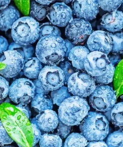 Blueberry Fruit Diamond Painting