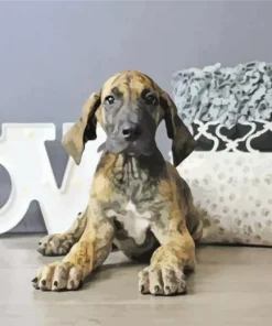 Brindle Dane Puppy Diamond Painting