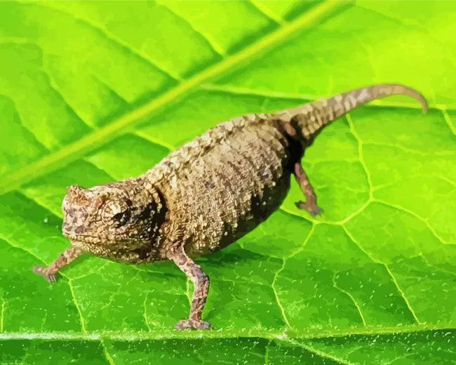 brookesia micra chameleon Diamond With Numbers Brookesia Micra Chameleon Diamond Painting