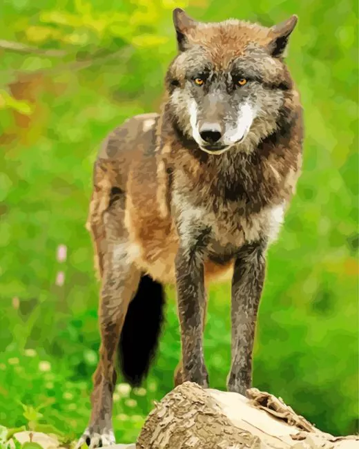 brown and black wolf Diamond Painst Brown And Black Wolf Diamond Painting