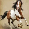 Brown And White Horse Diamond Painting