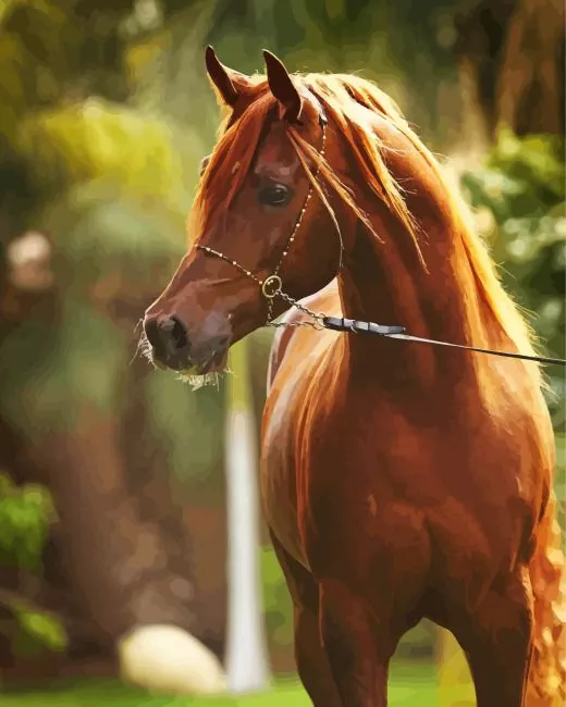 brown arabian horse Diamond Painst Brown Arabian Horse Diamond Painting