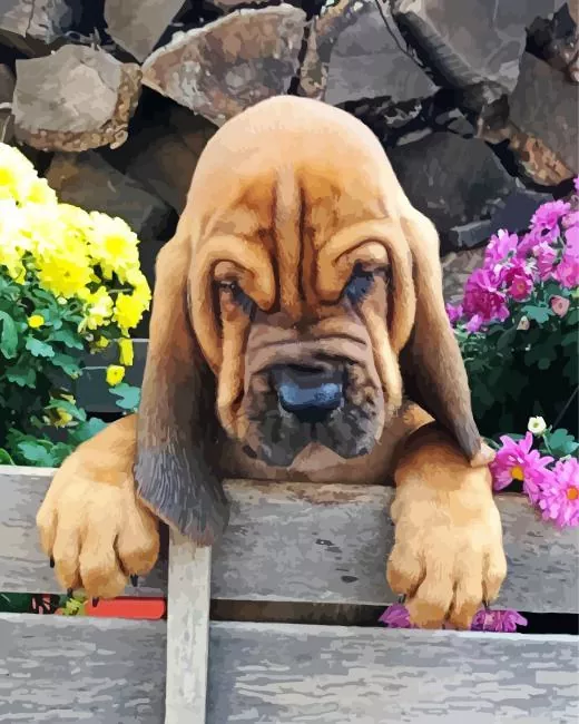 brown bloodhound puppy Diamond By Numbers Brown Bloodhound Puppy Diamond Painting