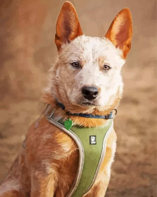 brown blue heeler Diamond By Numbers Brown Blue Heeler Diamond Painting