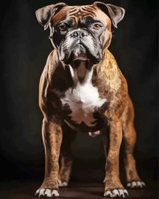 brown boxer dog Diamond Paints Brown Boxer Dog Diamond Painting