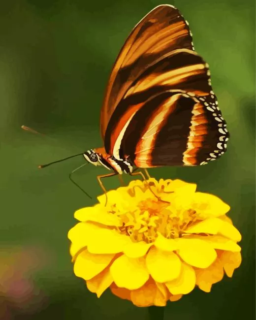 brown butterfly Diamond Paints Brown Butterfly Diamond Painting