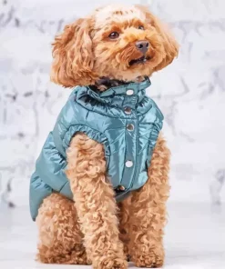 Brown Curly Poodle Diamond Painting