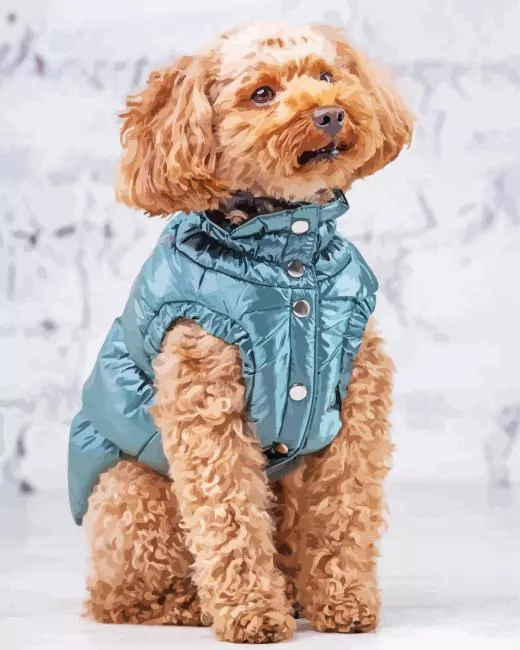 brown curly poodle Diamond By Numbers Brown Curly Poodle Diamond Painting