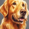 Brown Dog Face Diamond Painting