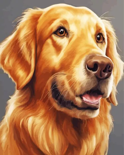 brown dog face Diamond Paints Brown Dog Face Diamond Painting