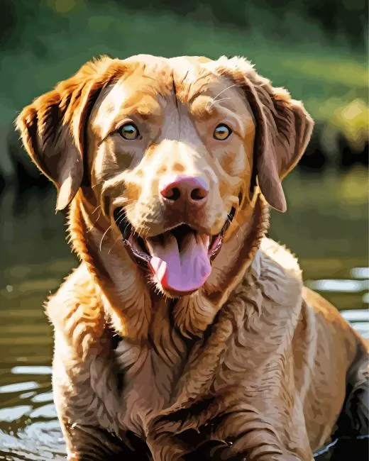 brown english labrador Diamond Paints Brown English Labrador Diamond Painting