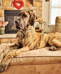 Brown Great Dane With Spots Diamond Painting