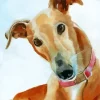 Brown Greyhound Dog Diamond Painting