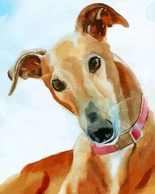 brown greyhound dog Diamond Paints Brown Greyhound Dog Diamond Painting