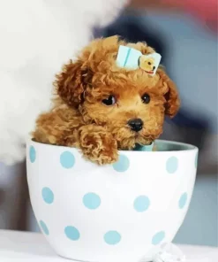 Brown Poodle In Teacup Diamond Painting