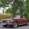 Brown Triumph Stag Diamond Painting