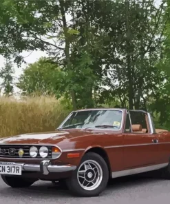 Brown Triumph Stag Diamond Painting