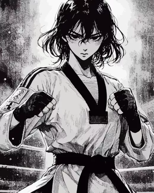 fighter girl Diamond With Numbers Fighter Girl Diamond Painting