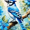 Florida Blue Jay Art Diamond Painting