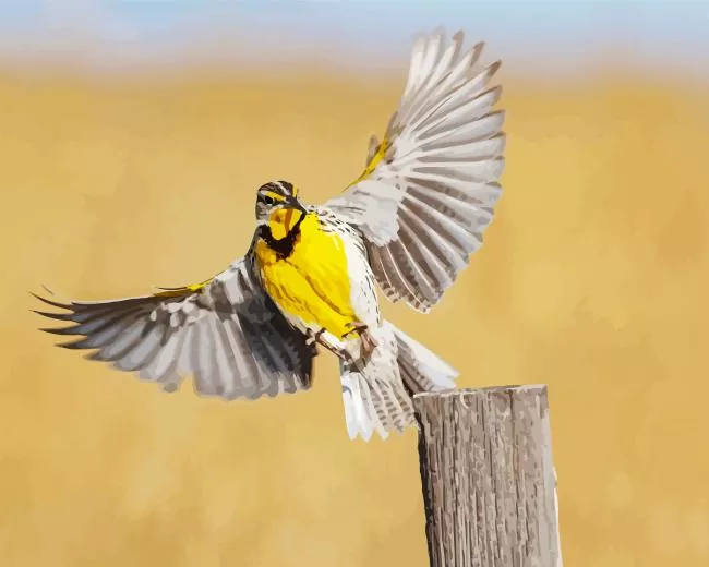 flying meadowlark Diamond By Numbers Flying Meadowlark Diamond Painting