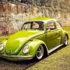 Green Bug Car Diamond Painting