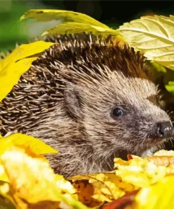 Hedgehog With Leaves Diamond Painting