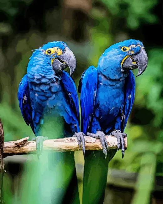 hyacinth macaw birds Diamond Paintings Hyacinth Macaw Birds Diamond Painting