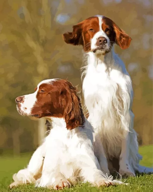 irish red and white setter Diamond By Numbers Irish Red And White Setter Diamond Painting