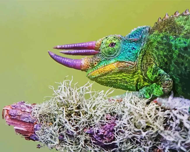 jacksons chameleon Diamond With Numbers Jacksons Chameleon Diamond Painting