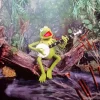 Kermit Playing Banjo Diamond Painting